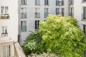 Vue dégagée sur végétation en cœur d’îlot, appartement au calme à deux pas d’Oberkampf