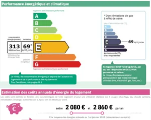 DPE. Diagnostic de performance énergétique DPE appartement à vendre Paris 18 Montmartre étiquette E consommation 313 kWh et émissions 69 kg CO2