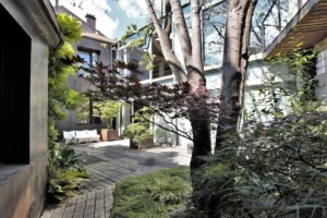 Jardin zen arboré au cœur d’un loft à Bagnolet, avec terrasse en bois, végétation luxuriante et façade contemporaine vitrée.