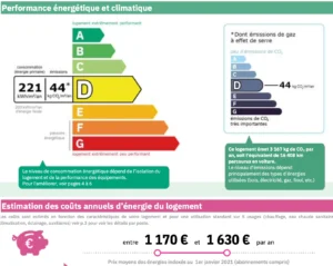 Diagnostic de performance énergétique (DPE) : classe D avec 221 kWh/m²/an et 44 kg CO₂/m²/an, soit l'équivalent de 16 408 km parcourus en voiture.