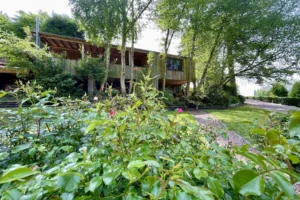 Allée gravillonnée et façade végétalisée de la maison au cœur d’un écrin de nature