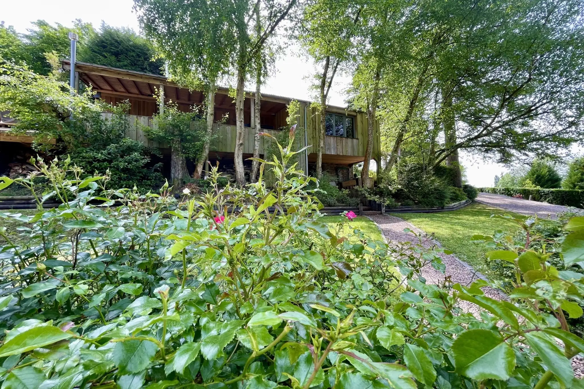 estate photo