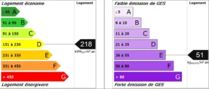Diagnostic de performance énergétique du loft à Nanterre : classe D pour la consommation (218 kWhEP/m².an) et classe E pour les émissions de gaz à effet de serre (51 kgéqCO₂/m².an).