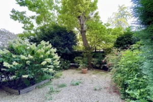 Jardin particulier verdoyant avec grands arbres et arbustes fleuris, appartement à vendre Paris 16 avenue Foch.