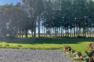 Vue sur le jardin arboré et la campagne environnante à Bonneville-la-Louvet, dans le Calvados.