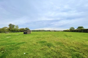 Grand pré clôturé à Le Torquesne 14130 avec une petite annexe, idéal pour des chevaux ou animaux, dans un environnement calme et verdoyant du Calvados.