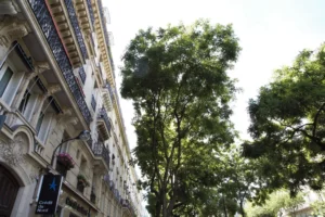 Façade d’un immeuble haussmannien avenue des Gobelins à Paris 5, avec balcons en ferronnerie et alignement d’arbres, environnement résidentiel recherché du quartier des Gobelins.