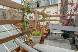 Terrasse aménagée avec végétation en pots, mobilier extérieur et vue dégagée sur les toits de Paris, dans un appartement situé à Paris 10.