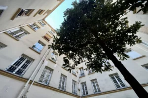Façade sur cour d’un immeuble parisien avec arbre central, environnement calme et typique du quartier Filles du Calvaire à Paris 11.