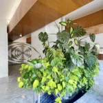 Hall d’entrée d’un immeuble des années 1960 à Paris 12 Reuilly Diderot avec plafond en bois, sol en marbre et grand bac végétalisé central.